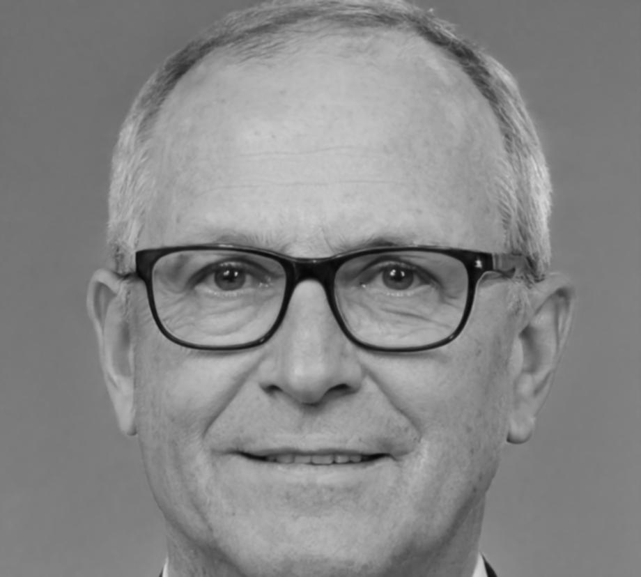 Henrik Waldkirch, Programmleiter und Finanzanalyst