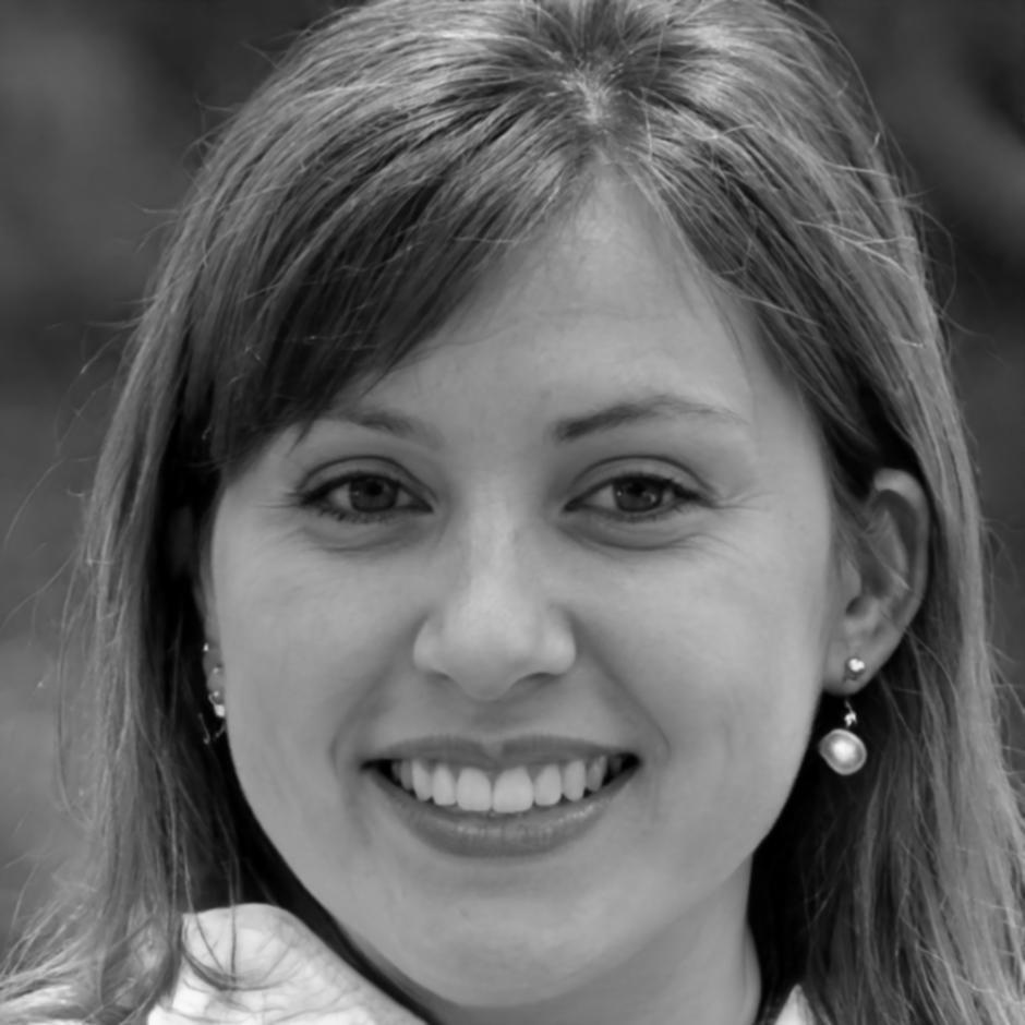 Birgitta Lundström, Finanzexpertin und Programmleiterin